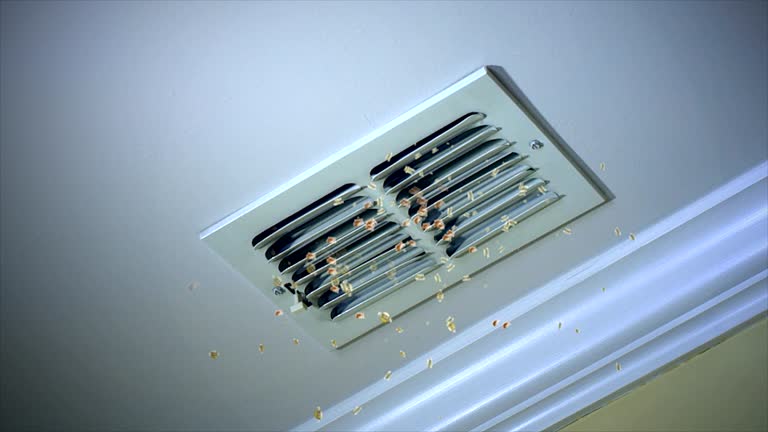 Best Professional Duct Cleaning Services  in Denver, CO